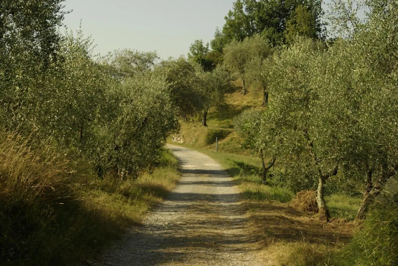 פשיה Villa Gli Olivi Country House 0*,